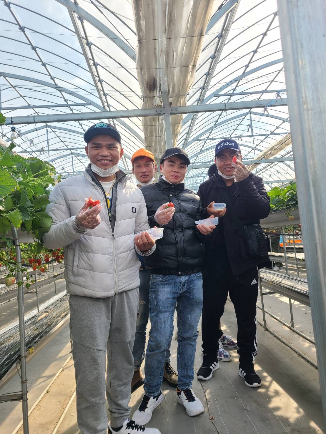 外国人実習生の様子4